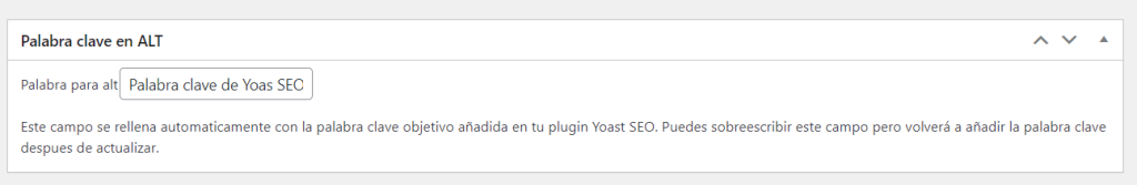 Keyword Yoast SEO on imagen alt