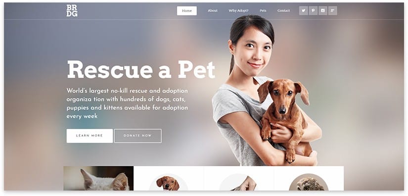 Pet Sanctuary para albergues de animales plantilla wordpress