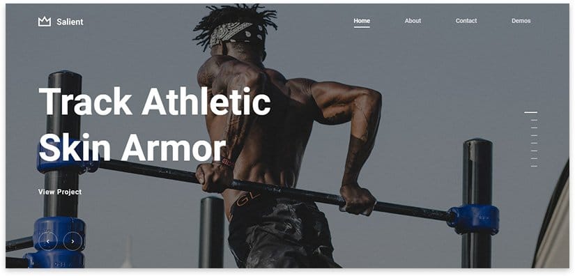 Salient Plantilla WordPress Para landing calistenia