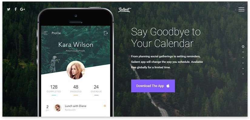 Salient Plantilla WordPress Para aplicacion movil